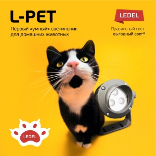 Официально: L-pet не существует